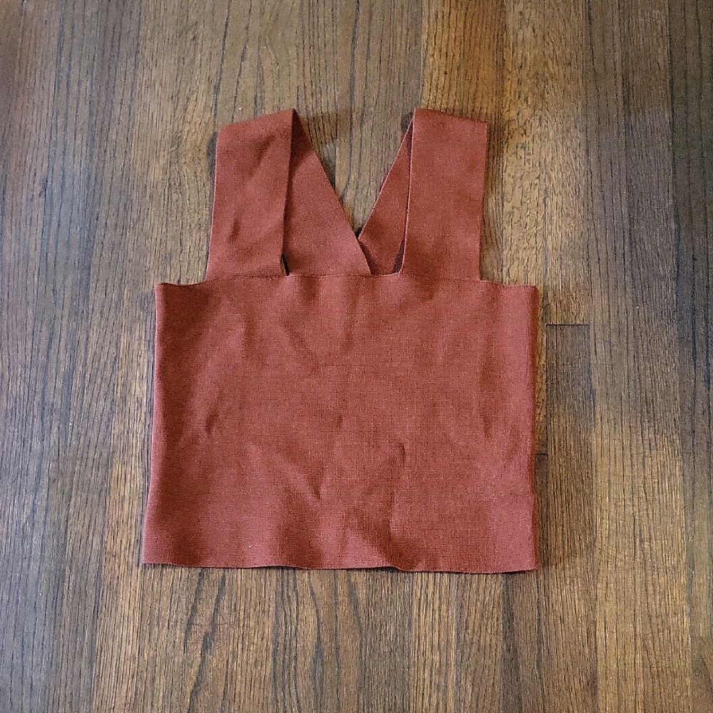 House of Harlow 1960 Rust Crop Top